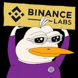 Binance backed